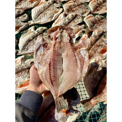 국내산 반건조열기 불볼락 할복 생선구이, 반건조열기2마리(25cm)