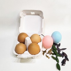 4구 100개 종이계란판 부활절 달걀 포장 상자 알상자 화이트색상