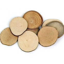 (재미스쿨) 그리기나무 약1kg 천연나무조각 자연나무 원형 타원형, 원형 대 (타공)