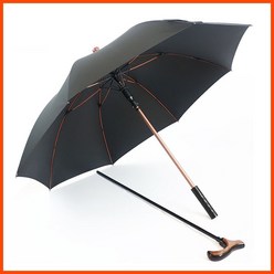 우산겸지팡이