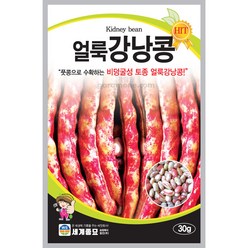 비넝쿨 얼룩 강낭콩 씨앗 콩씨앗 종자 bean seed 30g, 1개