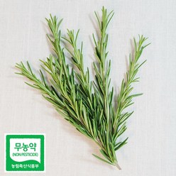 내추럴에너지로즈마리