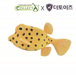 컬렉타 노랑거북복 해양 동물 물고기 피규어 장난감 모형