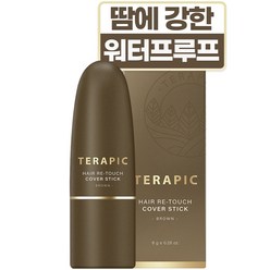 테라픽 헤어 리-터치 커버스틱 8g, 브라운, 1개