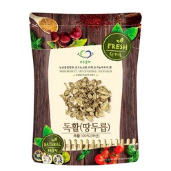 푸른들판 국내산 독활, 500g, 1개