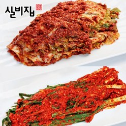 대전블르스실비집 실비김치 배추김치 1kg+파김치 500g, 1개