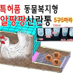 알팡팡 5구 플라스틱 알 품고 먹는 닭과 완전 분리 깨끗한 알 수거 확실한 닭 산란통 닭 산란장 닭 알낳는통, 5구용에 닭이12-15마리 미만용