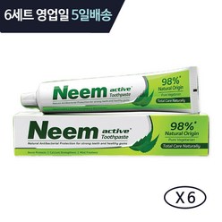 인도 님 치약 200g Neem active 98% toothpaste 천연허브치약 6세트, 6개