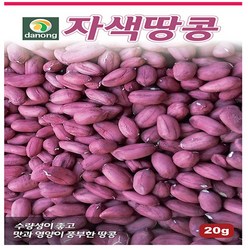 자색땅콩 씨앗 20g, 1개