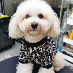 강아지 명품 니트 스웨터 옷 고양이 3종 소형견~대형견, 2. 블랙 D 스웨터