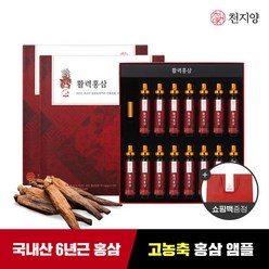 천지양 활력홍삼 20ml x 15병 x 2박스 +쇼핑백 / 활력앰플, 2개