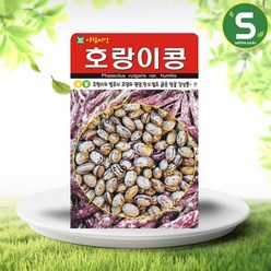 솔림텃밭몰 호랑이콩씨앗 30g 강낭콩씨앗 호랑이넝쿨강낭콩씨앗, 1개