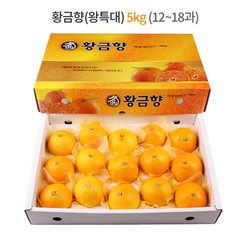 카라향5kg