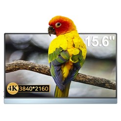 에비크 4K UHD 15.6인치 은회색 DEX 포터블 HDR 휴대용 모니터 M156C10