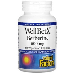 베르베린 배르배린 WELLBETX Berberine 벌베린 500mg, 60정, 1통