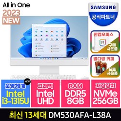 삼성전자 올인원PC 일체형PC ( 13세대 CPU i3-1315U SSD 256GB RAM 8GB ) 가정용 인강용 대학생 화상강의, SSD 256GB+RAM 8GB