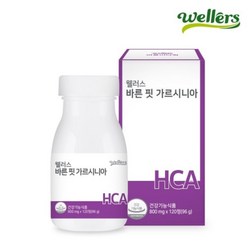 웰러스 바른 핏 가르시니아 800mgx120정, 800mg, 120정