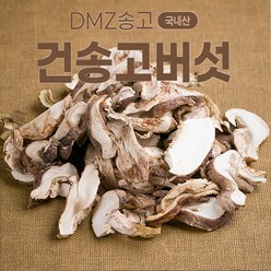 [나영이농원]국내산 무농약 건송고버섯 송고가루100g 송화버섯 송화고버섯 산지직송, 송고버섯가루100g, 1개