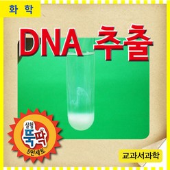 DNA추출(10인1세트)