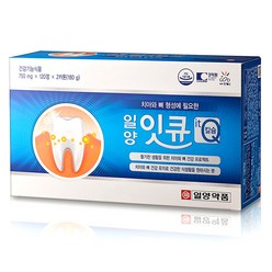 1+1 일양약품 잇큐 750mg 240정 4개월분 치아 코스트코