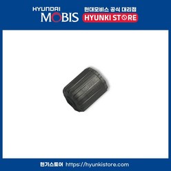 순정 타이어 공기주입구 캡 밸브 은색 (52937A5000), 1개