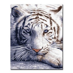 DIY캔버스페인팅 명화그리기 액자 그림 세트 유화 - 동물 40x50, A01_백호2
