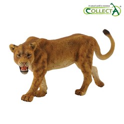 컬렉타 암사자 야생 동물 피규어 장난감 모형