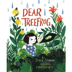 Dear Treefrog Hardcover, Houghton Mifflin