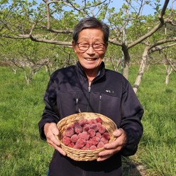 경남밀양 꾸지뽕열매 5kg 농원직송 산따담 2023 햇열매, 10kg, 1개