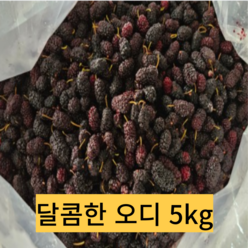 2023년 유기농 햇 청일오디 5kg 뽕나무 햇오디 산지직송, 1개