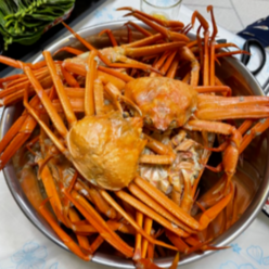 포항 구룡포 붉은 연지 홍게 5kg, 1개