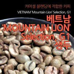 필더컵 베트남 Mountain Lion Selection G1 생두, 원두, 500g x 1개, 500g, 1개