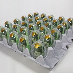 제이벌룬 계란한판 이벤트DIY세트[계란판 뚜껑+투명에그캡슐+리본+토퍼]