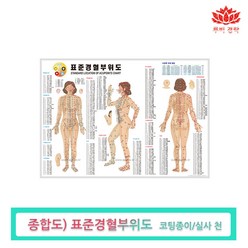 경혈부위도 전신 마사지도구 경락마사지 에스테틱, 경혈부위도(종합도), 1개