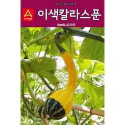 아시아종묘 관상용호박씨앗종자 이색칼라스푼 (10립), 1개