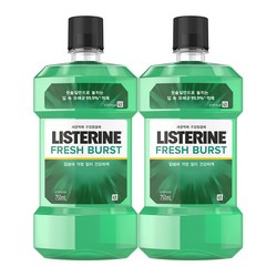 리스테린 후레쉬 버스트 구강청결제, 750ml, 2개