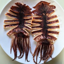 [제철곳간]두툼한 반건조오징어 피데기 포항 구룡포, 1개, 10미 왕특대(1.6kg 내외)