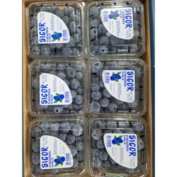 과일성지 블루베리 생블루베리 미국산 칠레산 125g 2팩, 6팩,12팩, 1세트, 2팩_250g내외