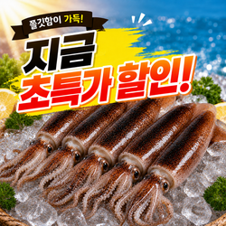 [새벽 조업] 산지직송 생물 초코오징어 국내산 초코오징어 통찜 당일바리