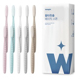 왕타 베이직 스톤 칫솔, 당신의 구강 위생을 책임질 필수 아이템!