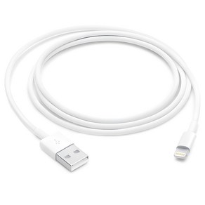 Apple Lightning-USB 케이블 MUQW3FE/A, Lightning, USB, 1m