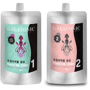 갈라토닉 스퀴드 잉크 칼라 1제 500ml + 2제 500ml 염색제