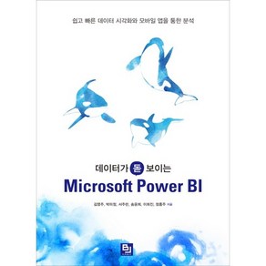 데이터가 돋보이는 Micosoft Powe BI:쉽고 빠른 데이터 시각화와 모바일 앱을 통한 분석, 비제이퍼블릭