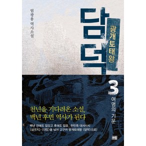 광개토태왕 담덕 3: 여명의 기운:엄광용 역사소설