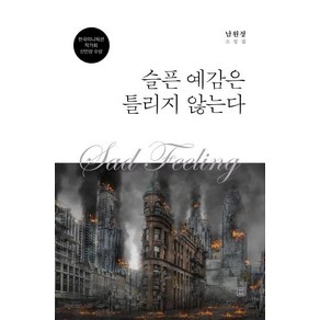 [렛츠북]슬픈 예감은 틀리지 않는다, 렛츠북, 남원정