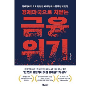 [새빛]경제파국으로 치닫는 금융위기 : 경제병리학으로 진단한 세계경제와 한국경제 전망, 새빛, 최용식