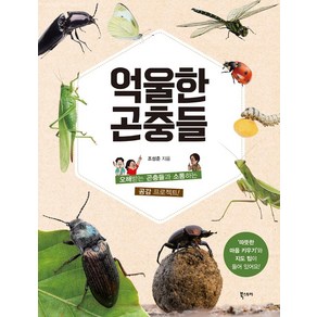 [북스토리]억울한 곤충들 : 오해받는 곤충들과 소통하는 공감 프로젝트