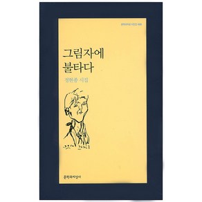 그림자에 불타다:정현종 시집