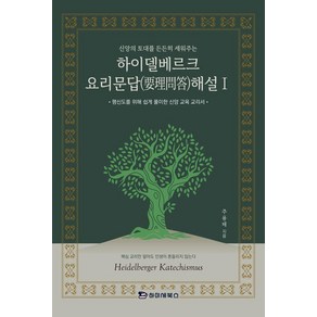 신앙의 토대를 든든히 세워주는하이델베르크 요리문답 해설 1, 하이세북스, 주용태