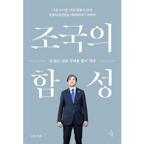 조국의 함성 : 길 없는 길을 두려움 없이 가다, 오마이북, 조국